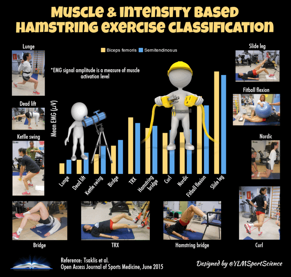 muscle and intensity based hamstring exercise classification | Science