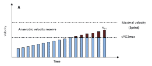 maximal aerobic speed science for sport