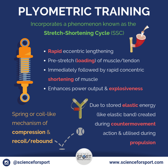 Plyometric Training 