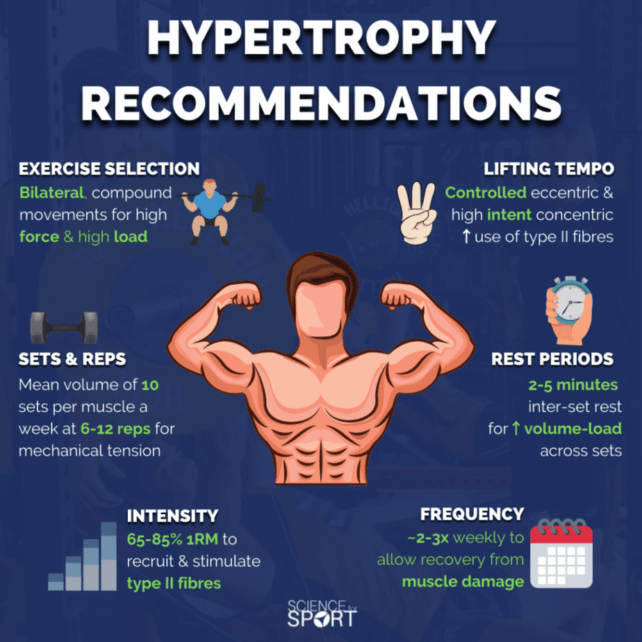 Hypertrophy training The Complete Guide plus workouts